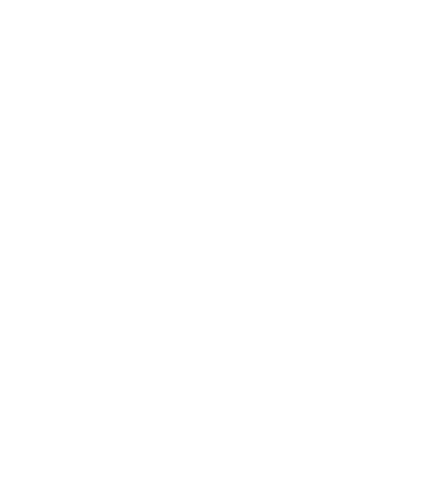 Nlighten Photonics Logo